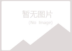 岳西县迎夏化学有限公司